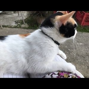 Meet your Posher, Angie